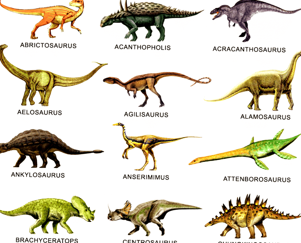 DINOSAURESS FR Toute l information sur les  dinosaures 