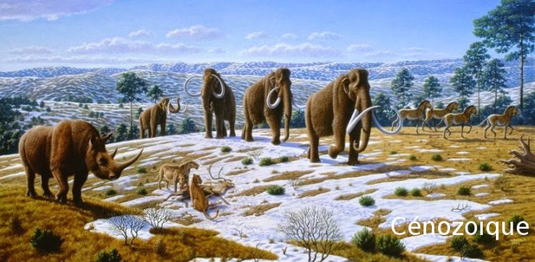 ÈRE CÉNOZÏQUE l'ère des mammifères Dinosauress