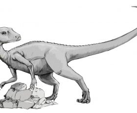 Abrictosaurus