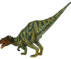 Afrovenator