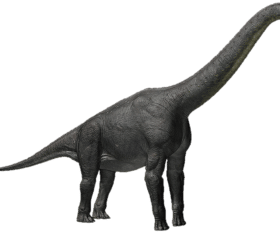 Alamosaurus