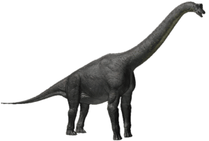 Alamosaurus