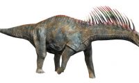 Amargasaurus
