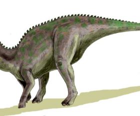 Anatotitan