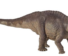 Apatosaurus
