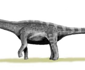 Argentinosaure
