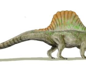 Arizonasaurus
