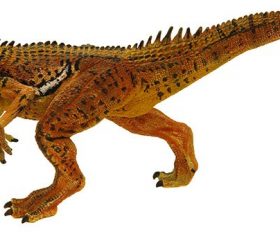 Australovenator