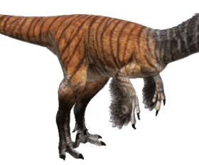Austroraptor
