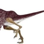 Bambiraptor