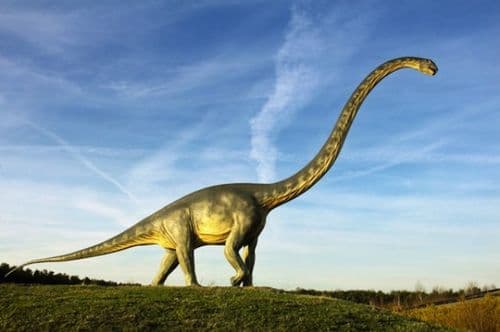 Dinosaures Herbivores Jurassique