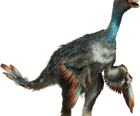 Chirostenotes