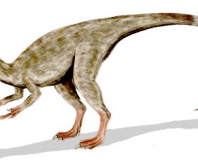 Compsognathus