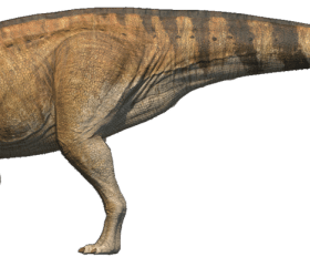 Corythosaurus