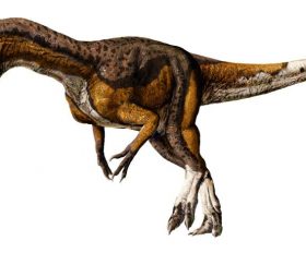 Cryolophosaure