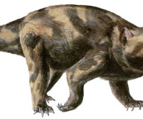 Cynognathus