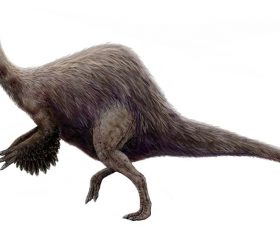 Deinocheirus