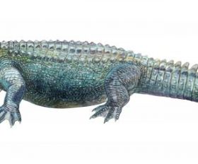 Deinosuchus