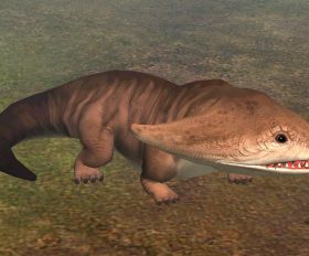 Diplocaulus
