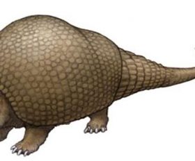 Doedicurus