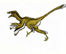Dromaeosaurus
