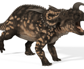 Einiosaurus