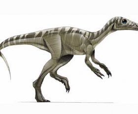 Eoraptor