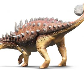 Euoplocephalus
