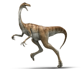 Gallimimus