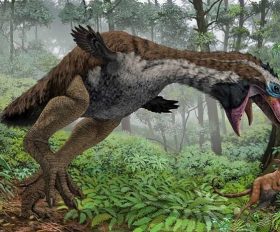 Gastornis