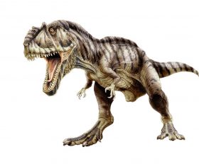 Giganotosaurus
