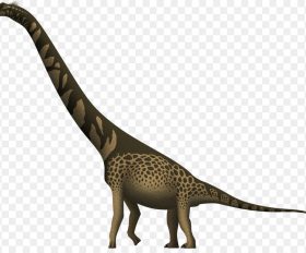 Giraffatitan