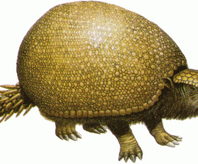 Glyptodon