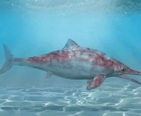 Ichthyosaurus