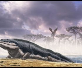 Ichthyostega