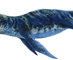 Kronosaurus