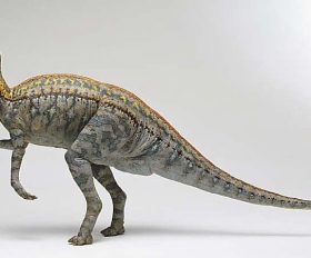 Lambeosaurus