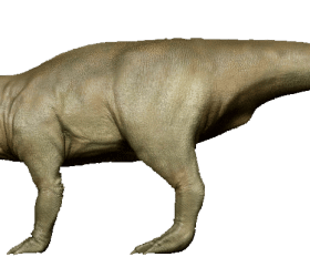 Leptoceratops