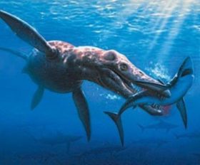 Liopleurodon