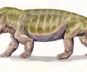 Lystrosaurus