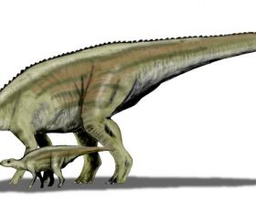 Maiasaura