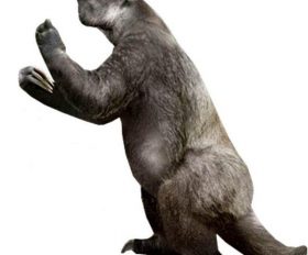 Megatherium