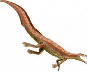 Mesosaurus