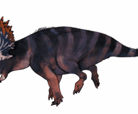 Monoclonius