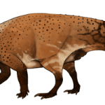 Montanoceratops