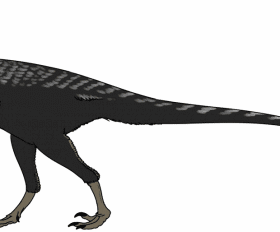 Ornitholestes
