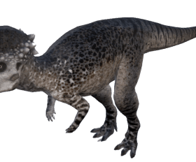 Pachycéphalosaure