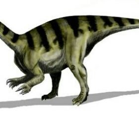 Platéosaure