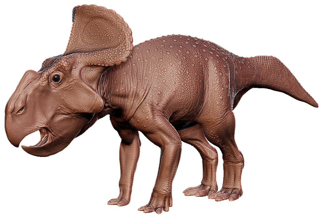 Protoceratops