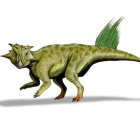 Psittacosaurus